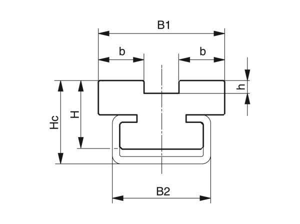 Type CT-Duplex - Kettinggeleidingen voor rollenkettingen - Murtfeldt GmbH Kunststoffe - Technische Zeichnung 1