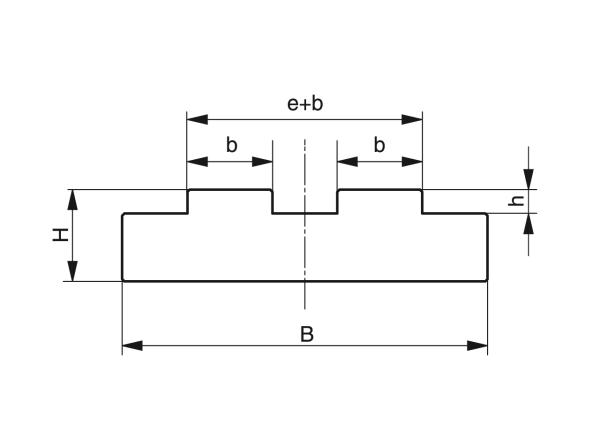 Typ T-Duplex - Vedení pro válečkové řetězy - Murtfeldt GmbH Kunststoffe - Technische Zeichnung 1